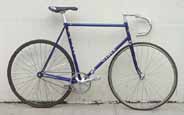 Ciooc Pista